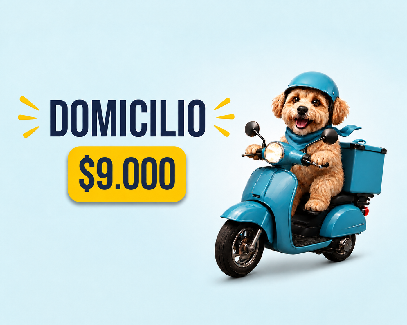 Domicilio en Bello - Antioquia — Koko Pets