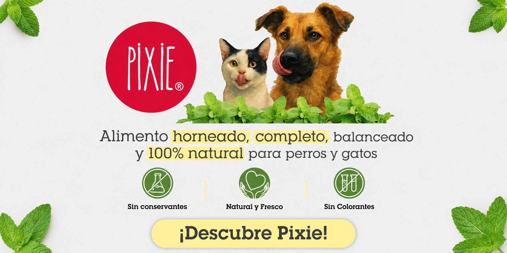 Pixie — Alimento horneado natural para perros y gatos — Koko Pets